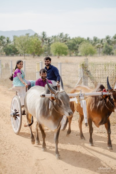Abilesh & Archana — photo 82